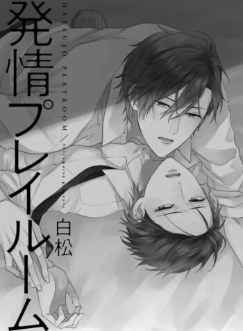 shiramatsu-hatsujou-playroom.jpg