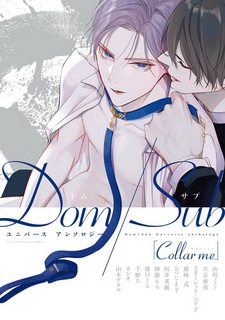collar-me-dom-sub.jpg