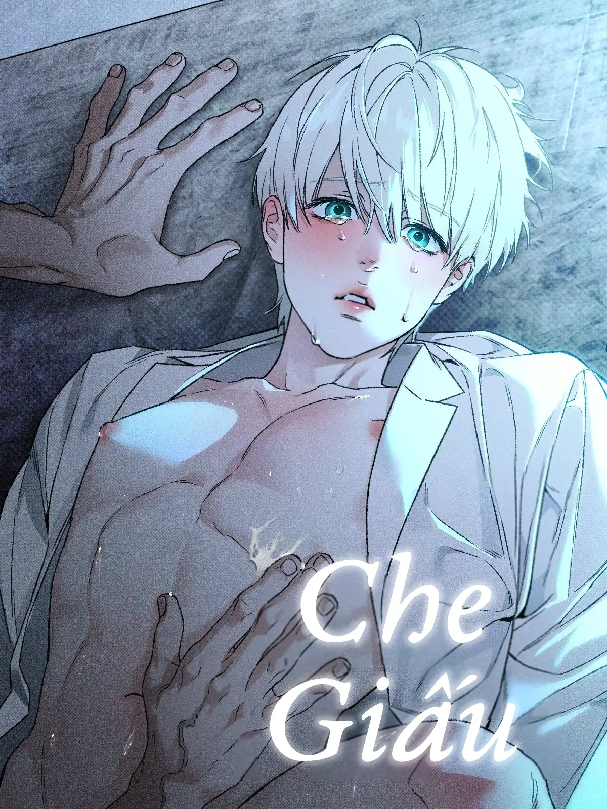 Che Giấu